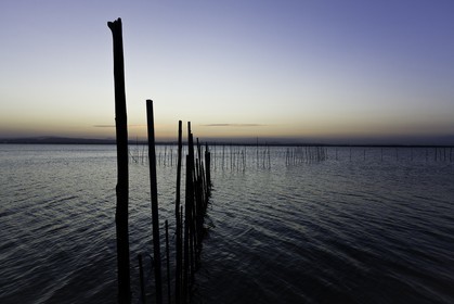 l-albufera_valencia_21-09-2011-0268.jpg