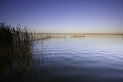 l-albufera_valencia_18-01-2012-0072.jpg