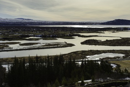 pingvellir_islande_20-03-2015-7963.jpg