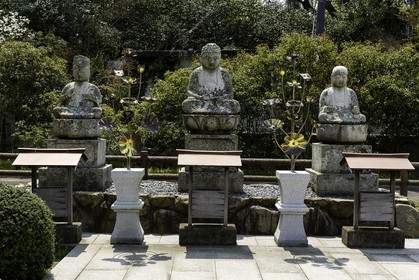 yashimaji_temple-84_shikoku_japon_10-04_2014-4561.jpg