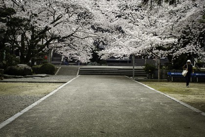 kouoji_temple-61_shikoku_japon_02-04_2014-3647.jpg