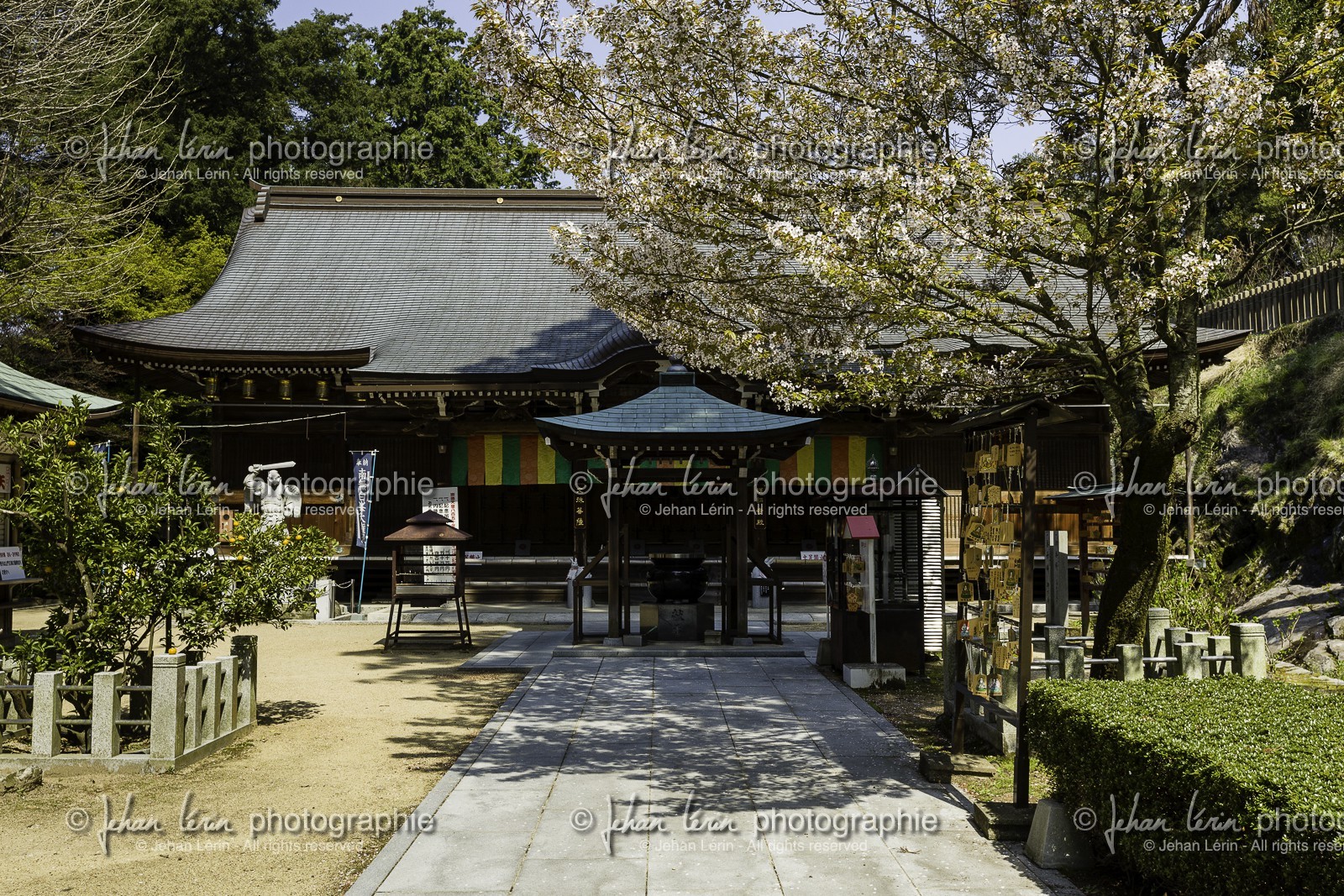 shiromineji_temple-81_shikoku_japon_09-04_2014-1057.jpg