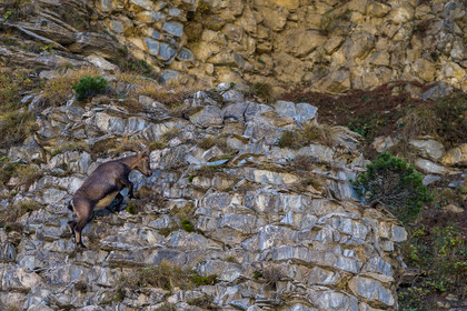 parc-re-gional-du-vercors_chichilianne_jl_1dx_25-10-2021-0067.jpg