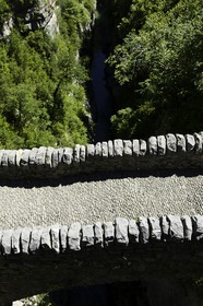 aragon2010-9871.jpg