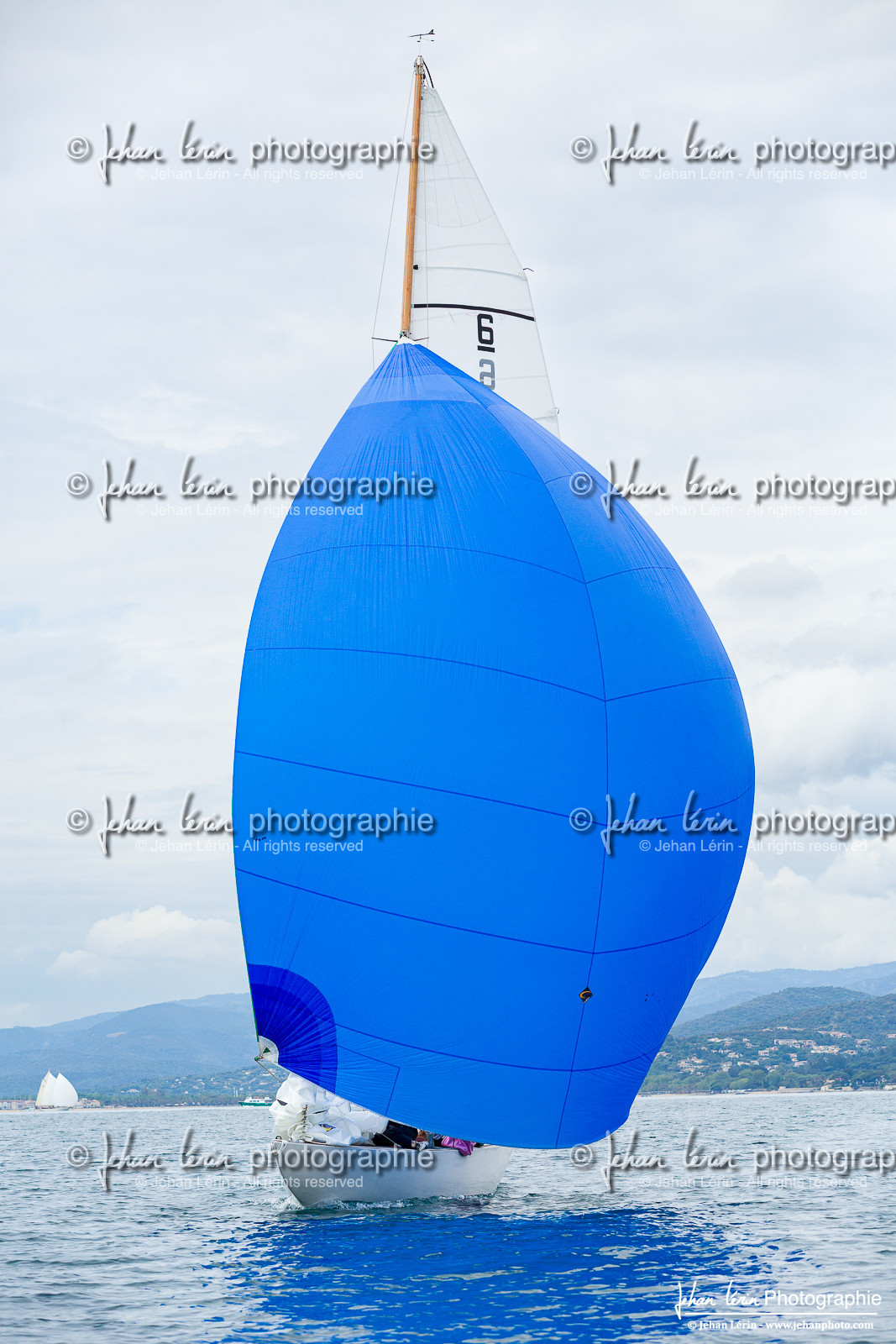 Les Dames de St Tropez