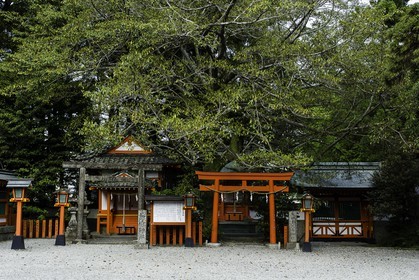 kumano-hayama-taisha_kumano-kodo-pilgrimage_shingu_japon_26-04-2014-5824.jpg