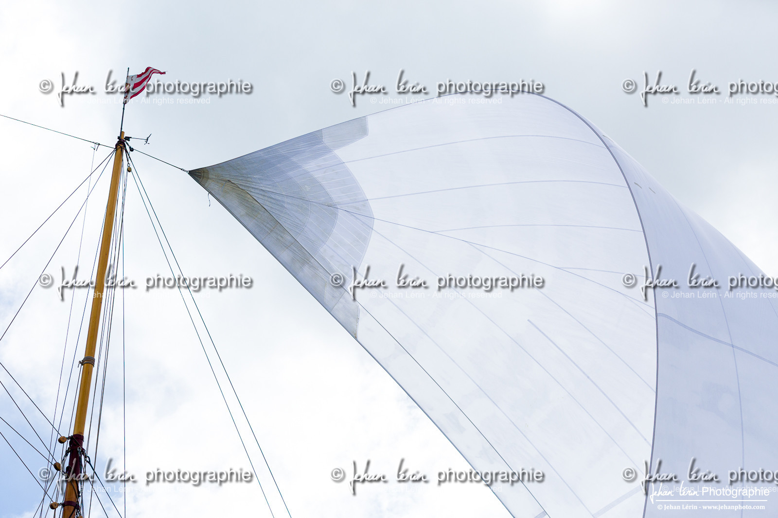 Les Dames de St Tropez