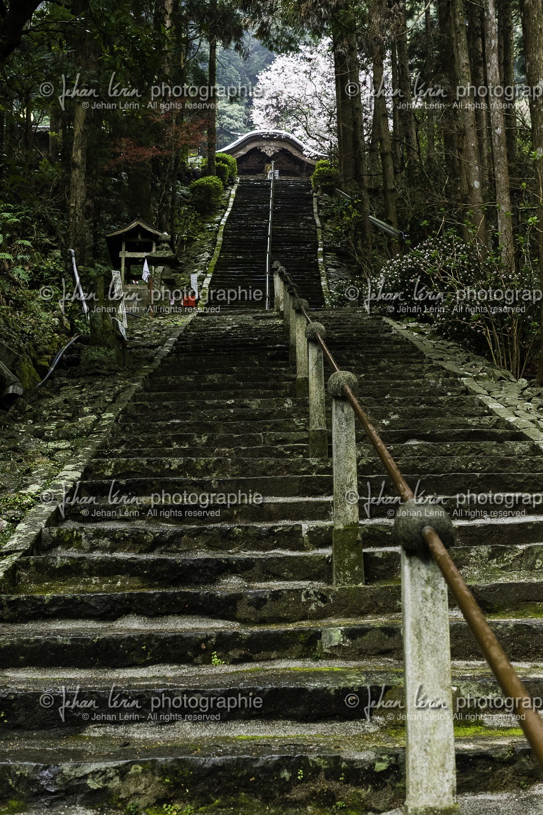 shoryuji_temple-36_shikoku_japon_18-03_2014-2856.jpg