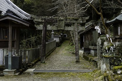 fujiidera_temple-11_shikoku_japon_06-03_2014-1947.jpg