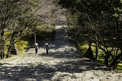 chikurinji_temple-31_shikoku_japon_17-03_2014-2695.jpg