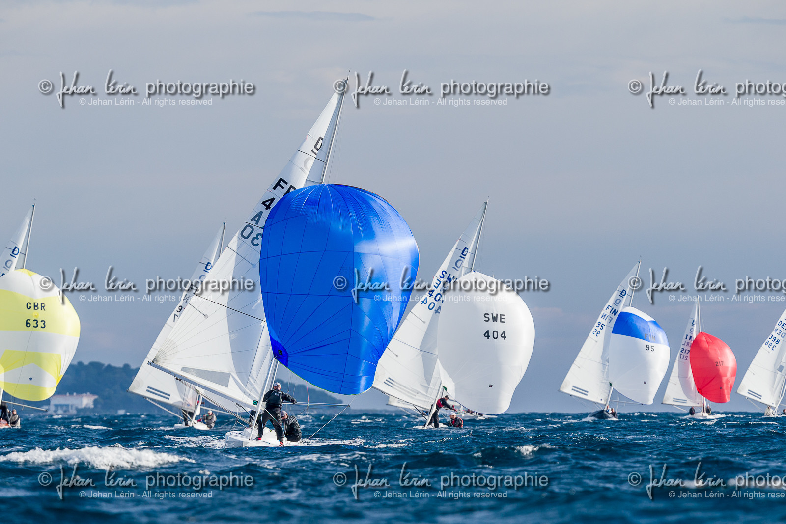 Armistice Cup Dragon 2022