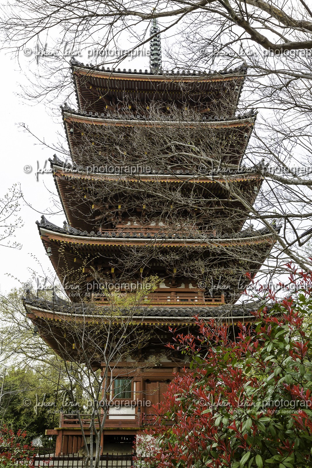 shidoji_temple-86_shikoku_japon_10-04_2014-1194.jpg