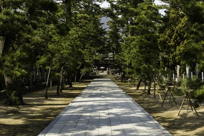 kokubunji_temple-80_shikoku_japon_08-04_2014-4382.jpg