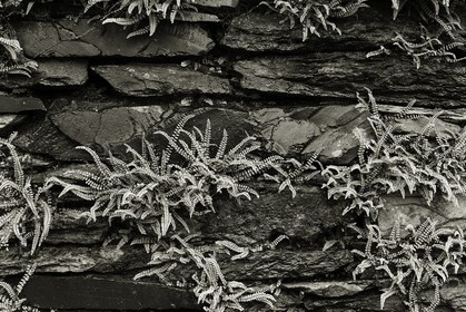 ambleside_lake-district-national-park_uk_oct-2012-2340-2.jpg