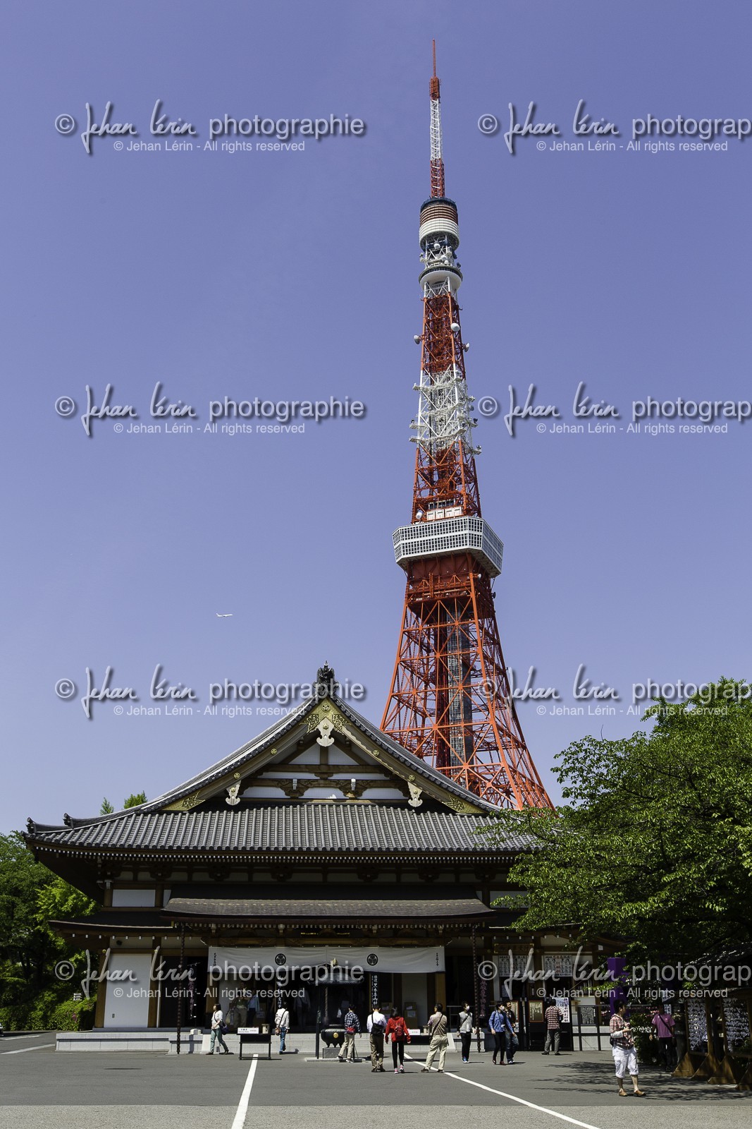 zojoji_shiba-koen_tokyo_japon_jl_5d3_04-05-2014-1558.jpg