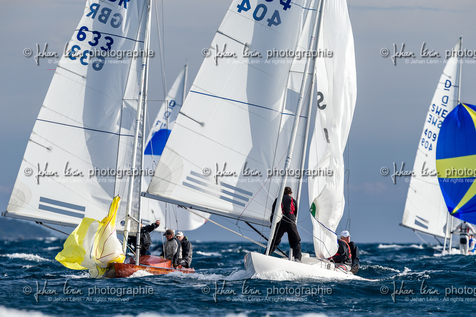 Armistice Cup Dragon 2022