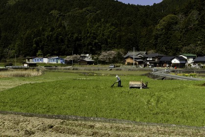 ozu_shikoku_japon_28-03_2014-3264.jpg