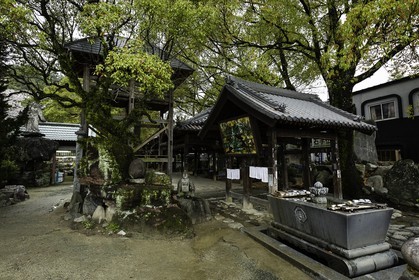ishiteji_temple-51_shikoku_japon_30-03_2014-0823.jpg