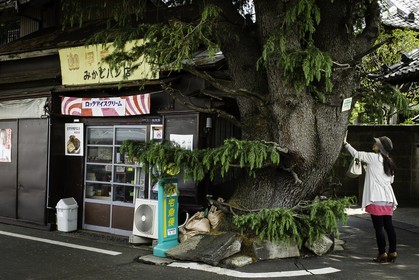 yanaka_ueno_tokyo_japon_jl_1dx_07-05-2014-6377.jpg