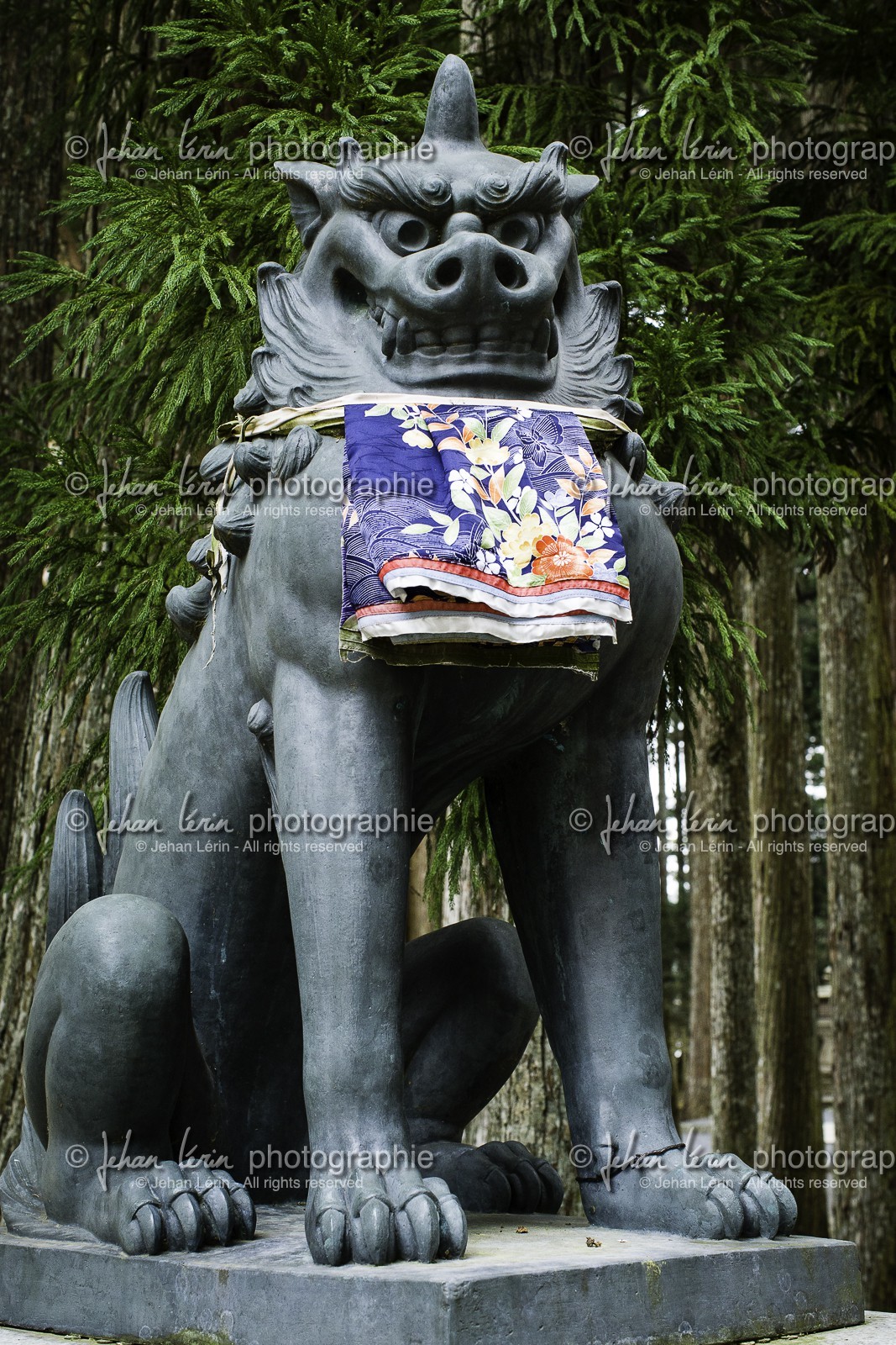 koyasan_japon_jl_1dx_16-04-2014-5123.jpg