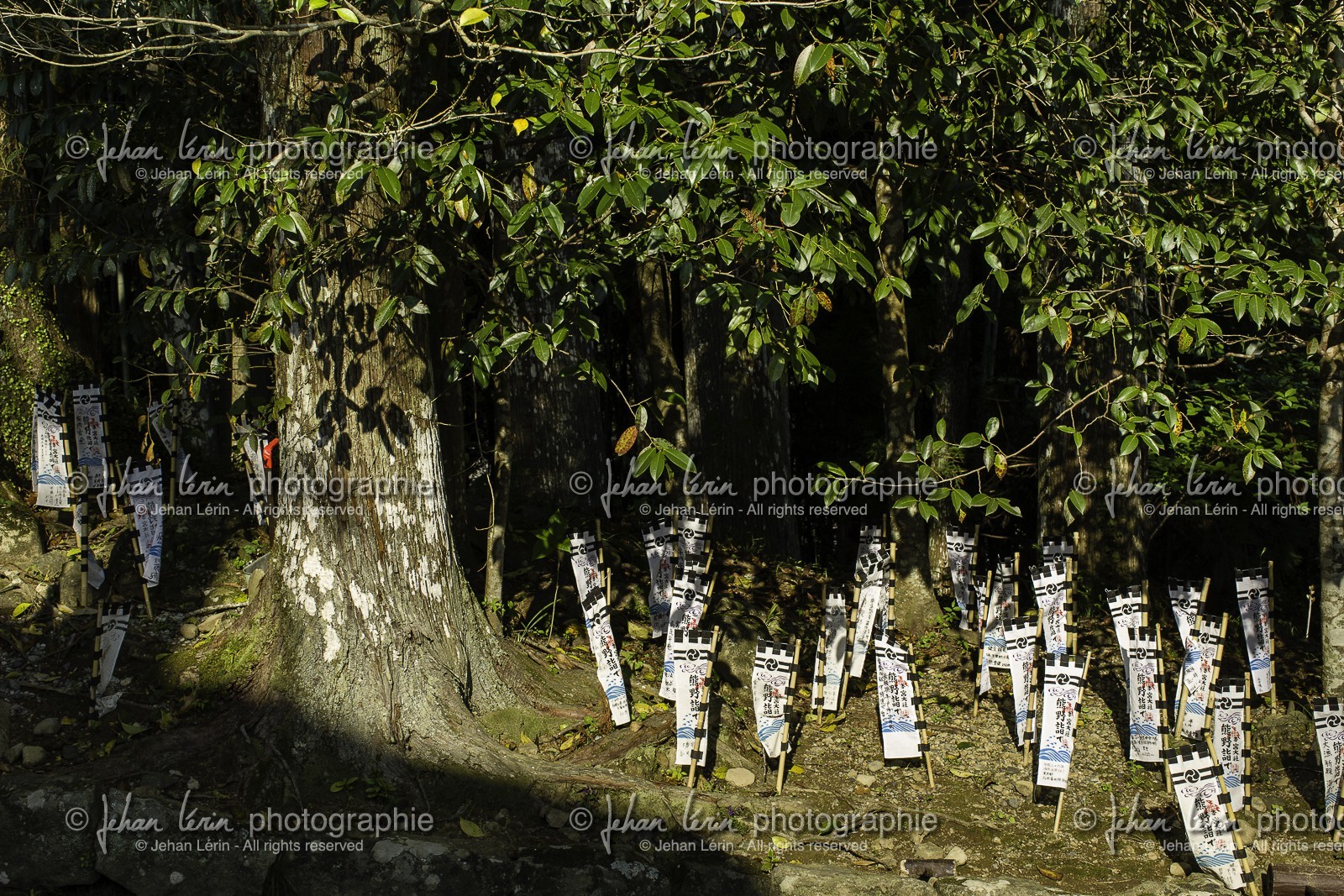 kumano-hongu-taisha_kumano-kodo-pilgrimage_japon_23-04-2014-5560.jpg
