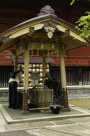 ueno_tokyo_japon_jl_1dx_05-05-2014-6226.jpg