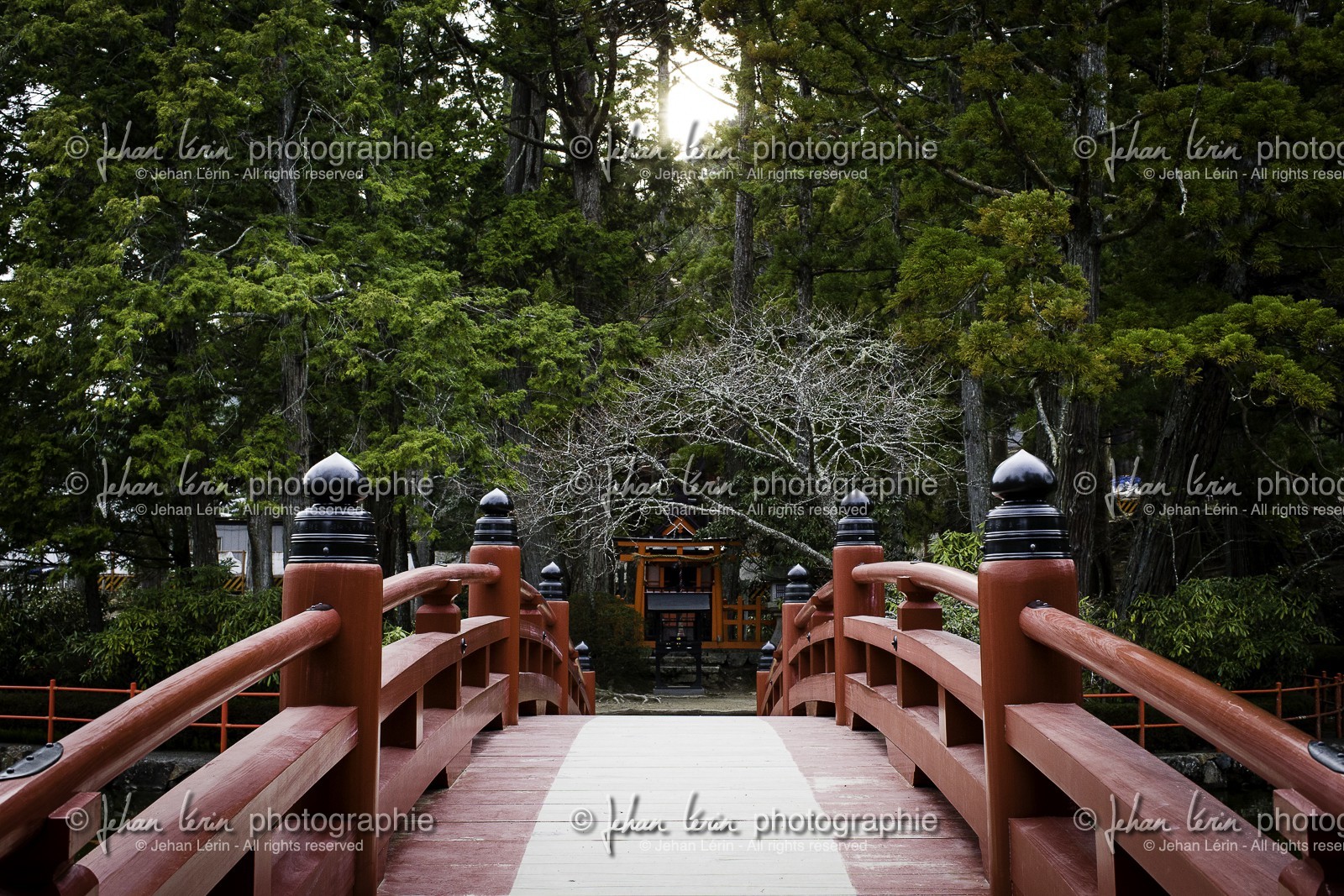 koyasan_japon_jl_1dx_16-04-2014-5148.jpg