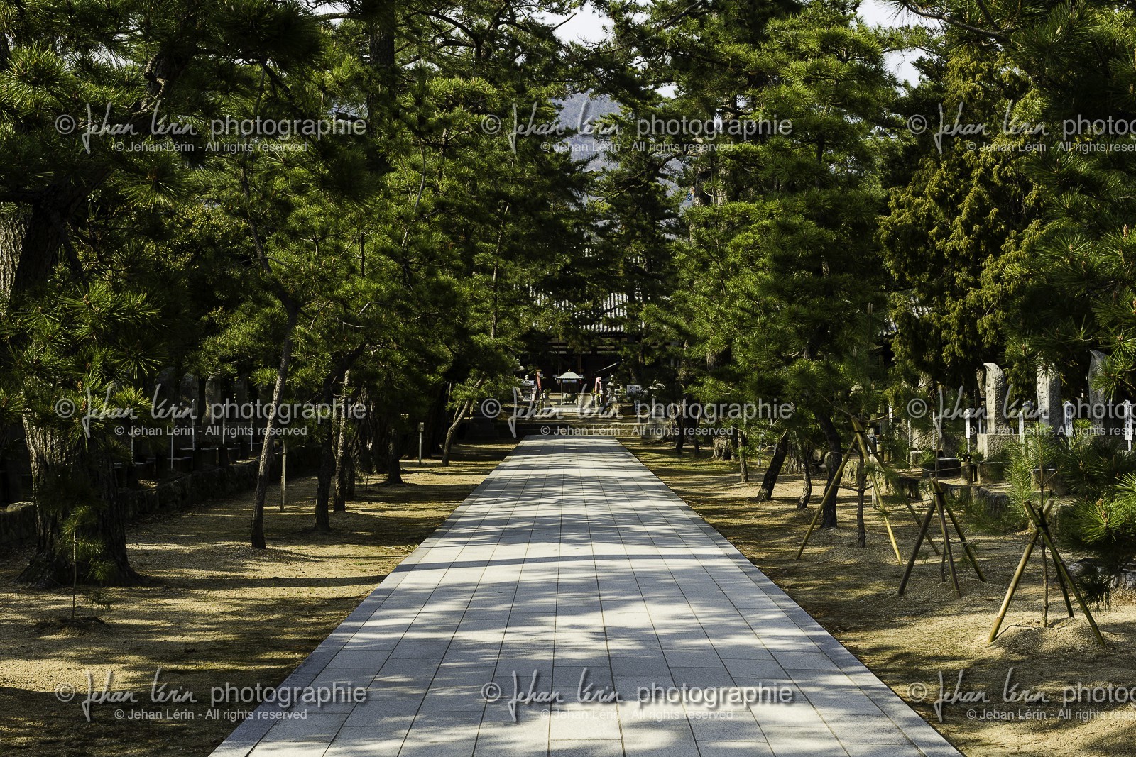 kokubunji_temple-80_shikoku_japon_08-04_2014-4382.jpg