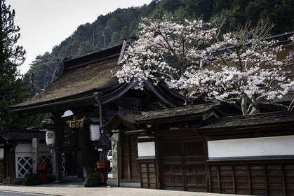koyasan_japon_jl_1dx_17-04-2014-5368.jpg