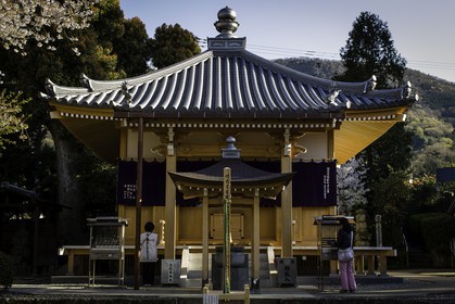 mandaraji_temple-72_shikoku_japon_06-04_2014-4067.jpg