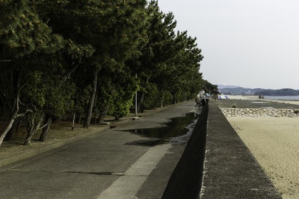 tanabe_kansai_japon_19-04-2014-5438.jpg
