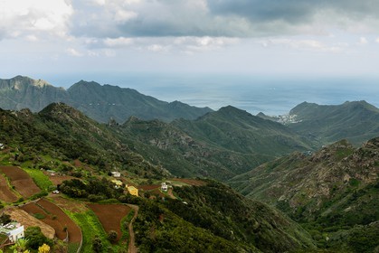 tenerife_mars-2008-0010.jpg