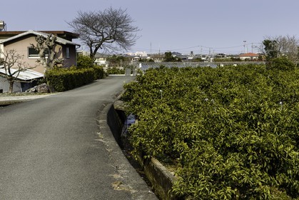 en-route-vers_temple-19_shikoku_japon_09-03_2014-2207.jpg