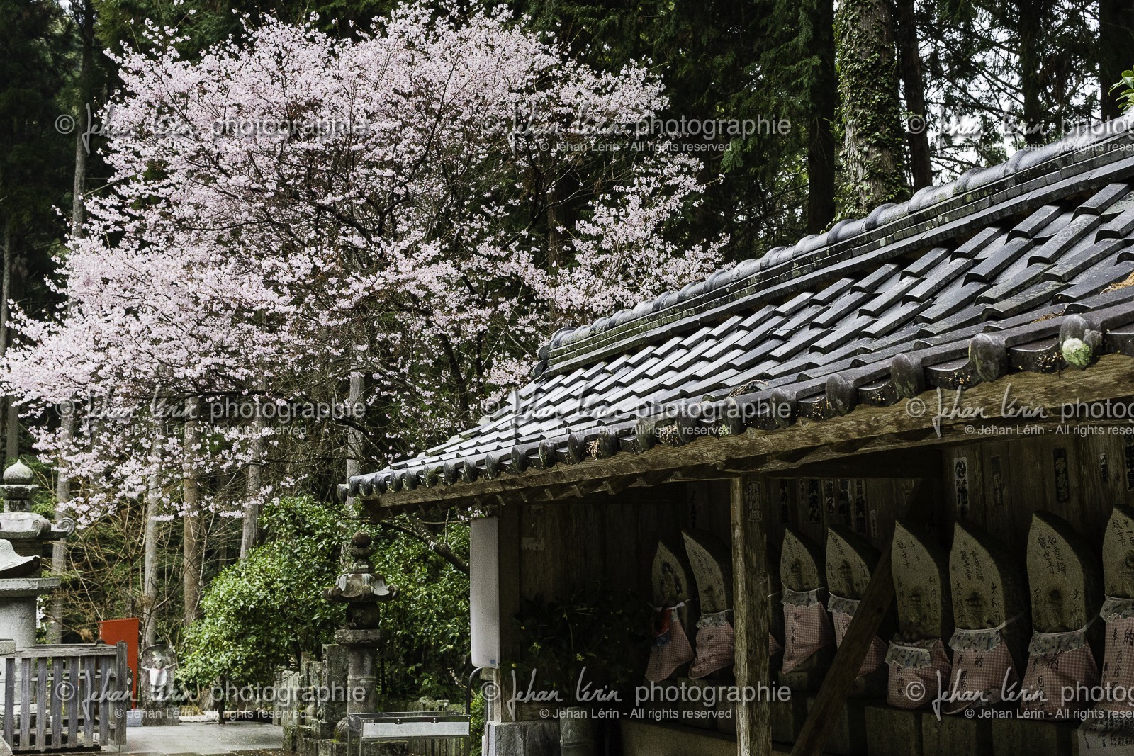 shoryuji_temple-36_shikoku_japon_18-03_2014-2875.jpg