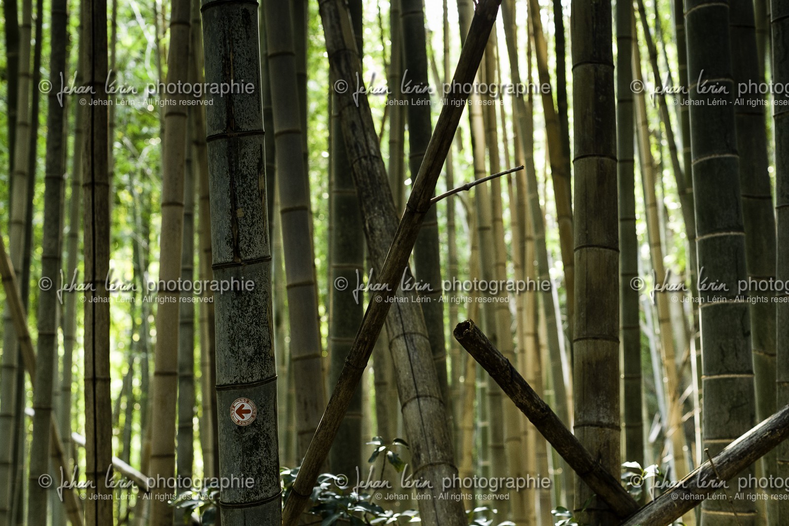 en-route-vers_temple-19_shikoku_japon_09-03_2014-2200.jpg