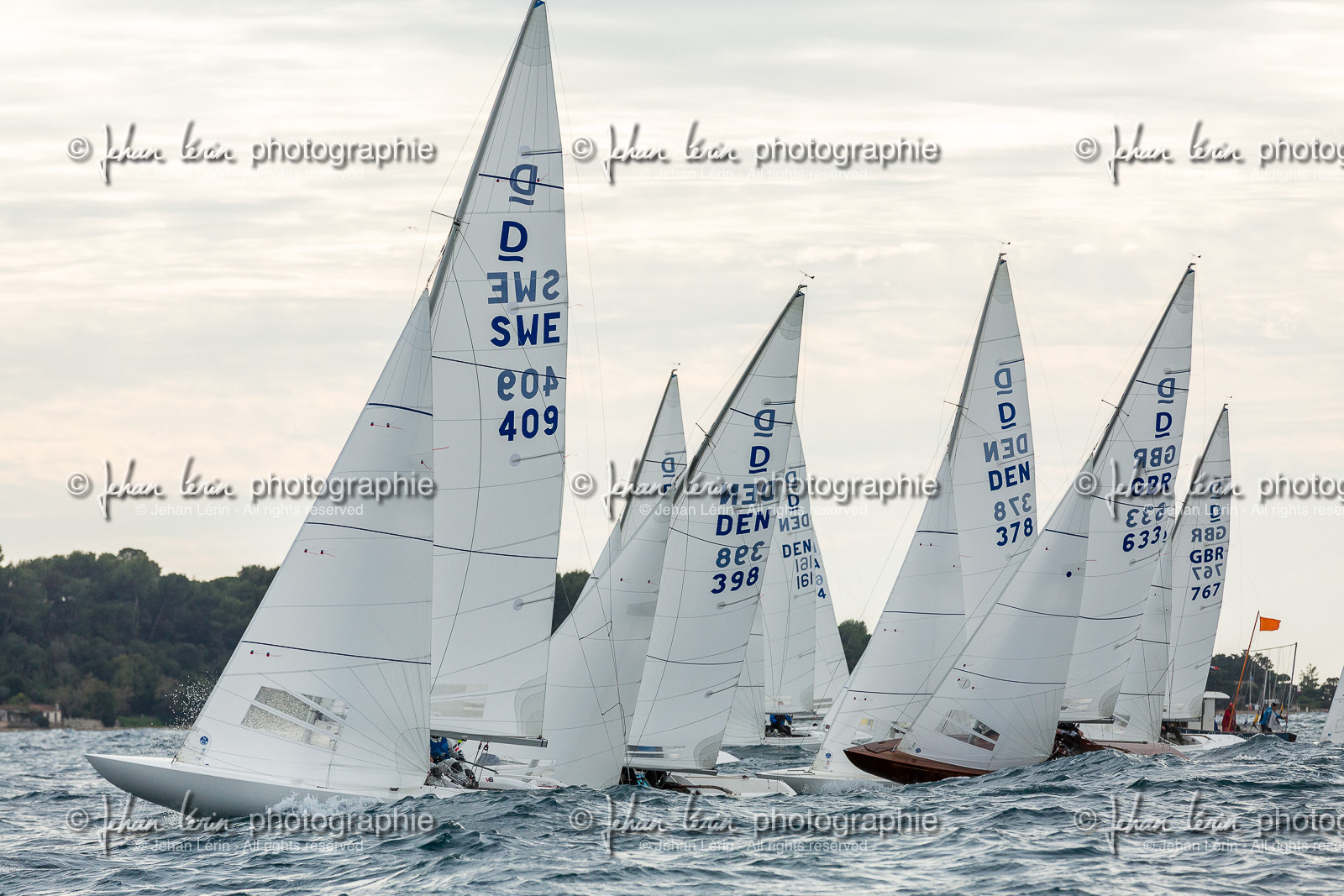 Armistice Cup Dragon 2022