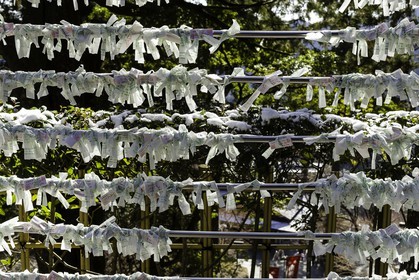 tairyuji_temple-21_shikoku_japon_11-03_2014-2340.jpg