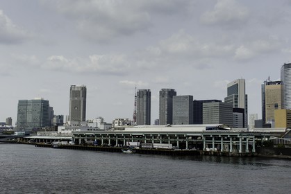bridge_tsukiji-fish-market_tokyo_japon_jl_1dx_08-05-2014-6609.jpg
