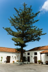 tenerife_mars-2008-0096.jpg