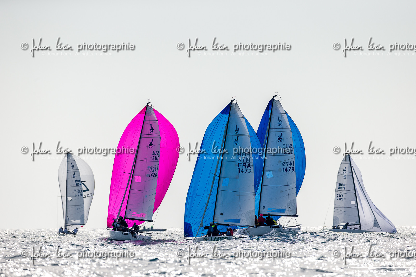 Primo Cup 2025 - Day3 - 08 03 2025