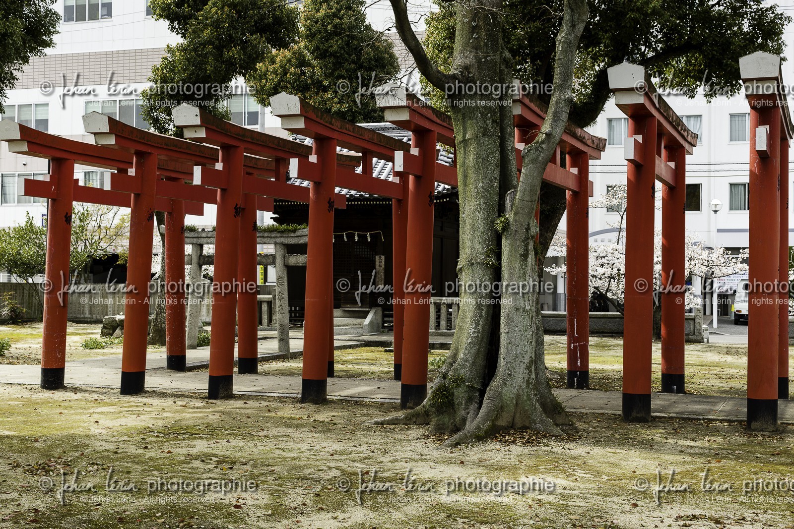 nankobo_temple-55_shikoku_japon_31-03_2014-3527.jpg