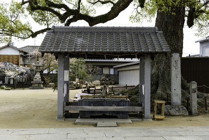 nagaoji_temple-87_shikoku_japon_11-04_2014-4628.jpg
