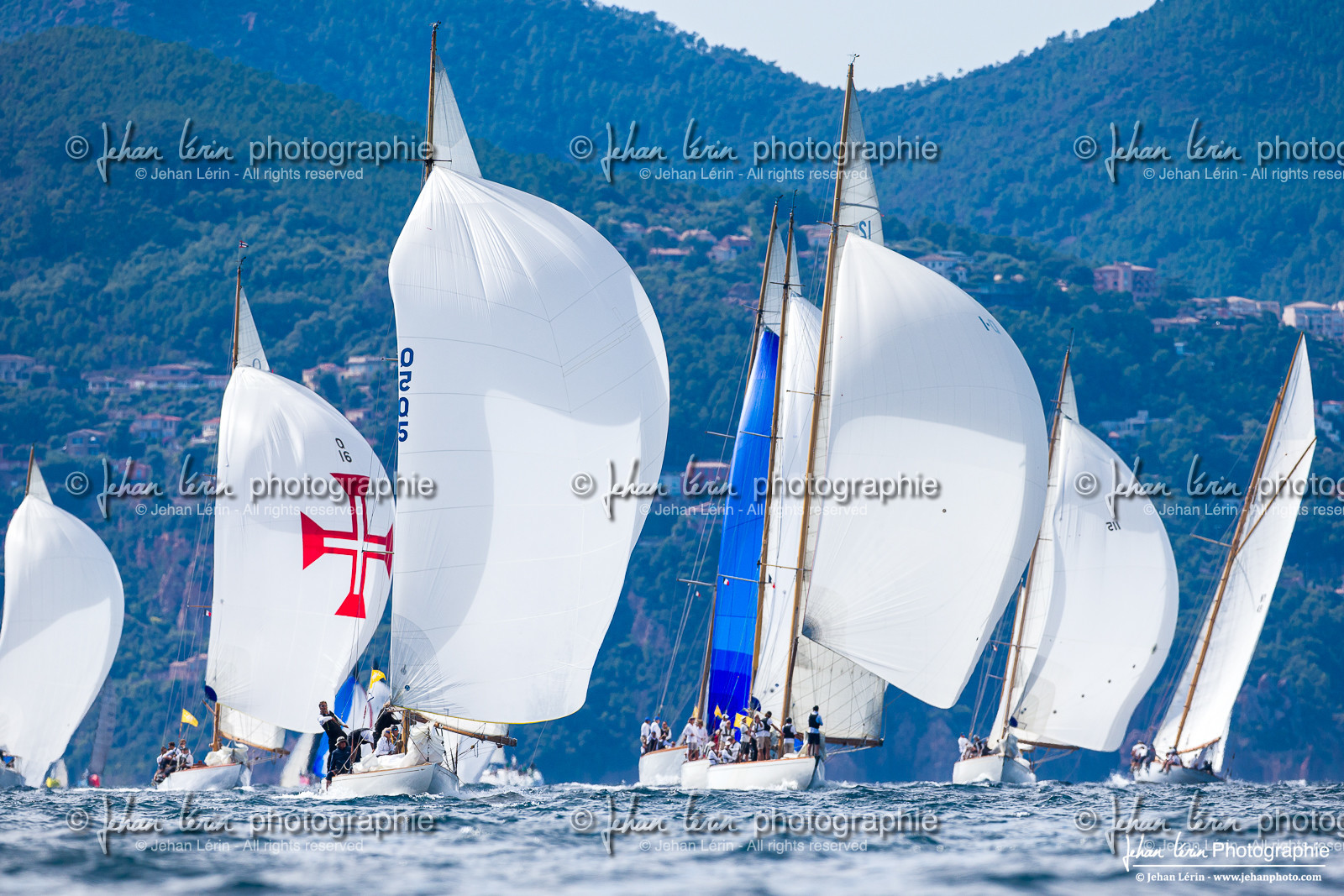 Régates Royales 2025