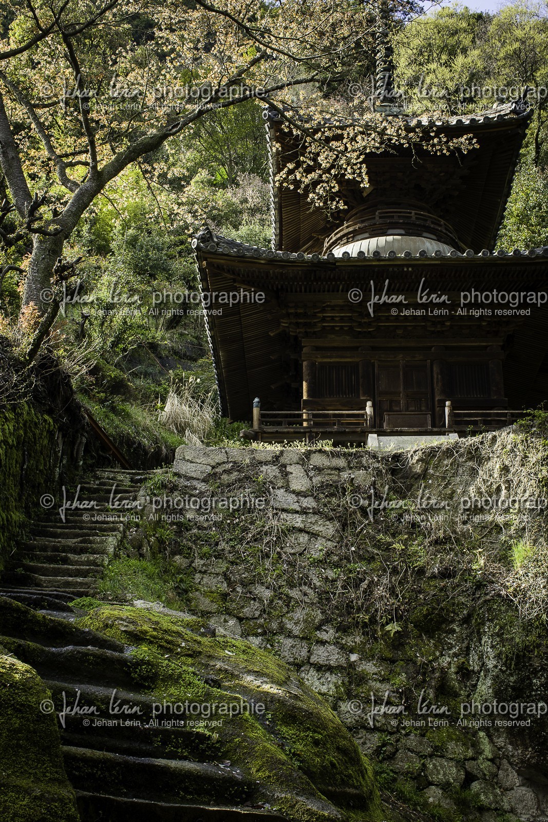 iyadaniji_temple-71_shikoku_japon_06-04_2014-4017.jpg