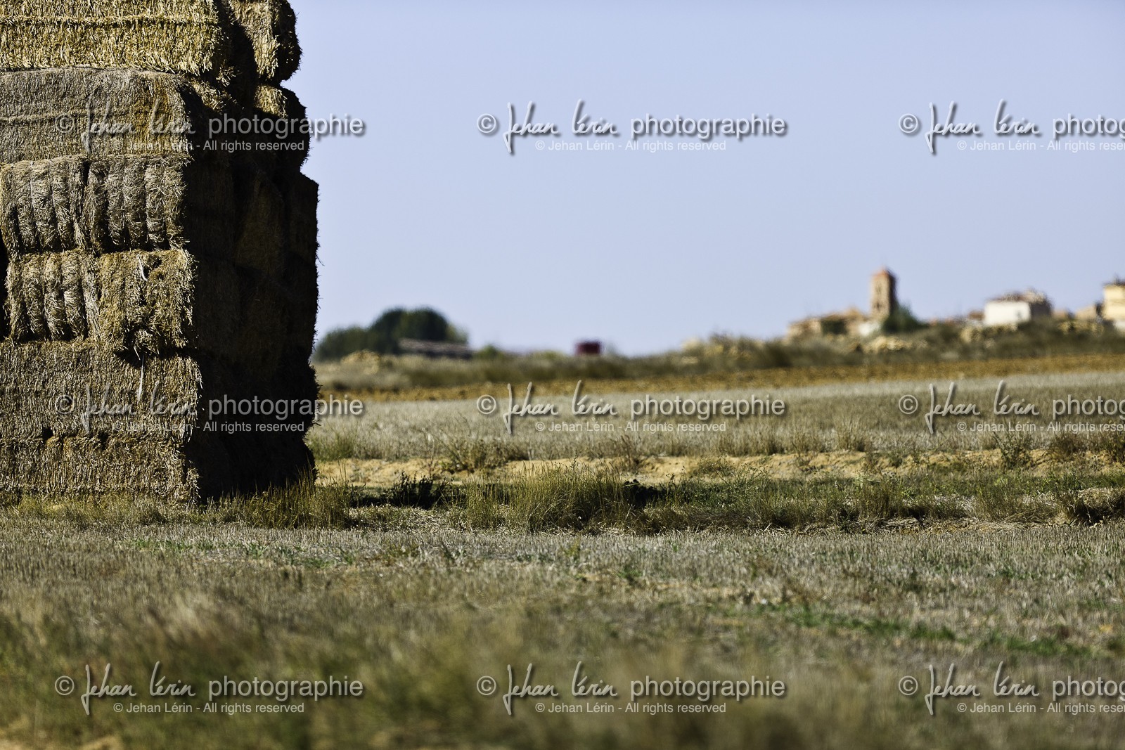 laguna-de-gallocanta_15-10-2009-5700.jpg