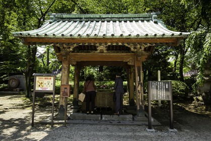 shiba-koen_tokyo_japon_jl_5d3_04-05-2014-1550.jpg