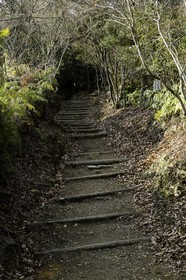 en-route-vers-le-temple-12_shikoku_japon_07-03_2014-1960.jpg