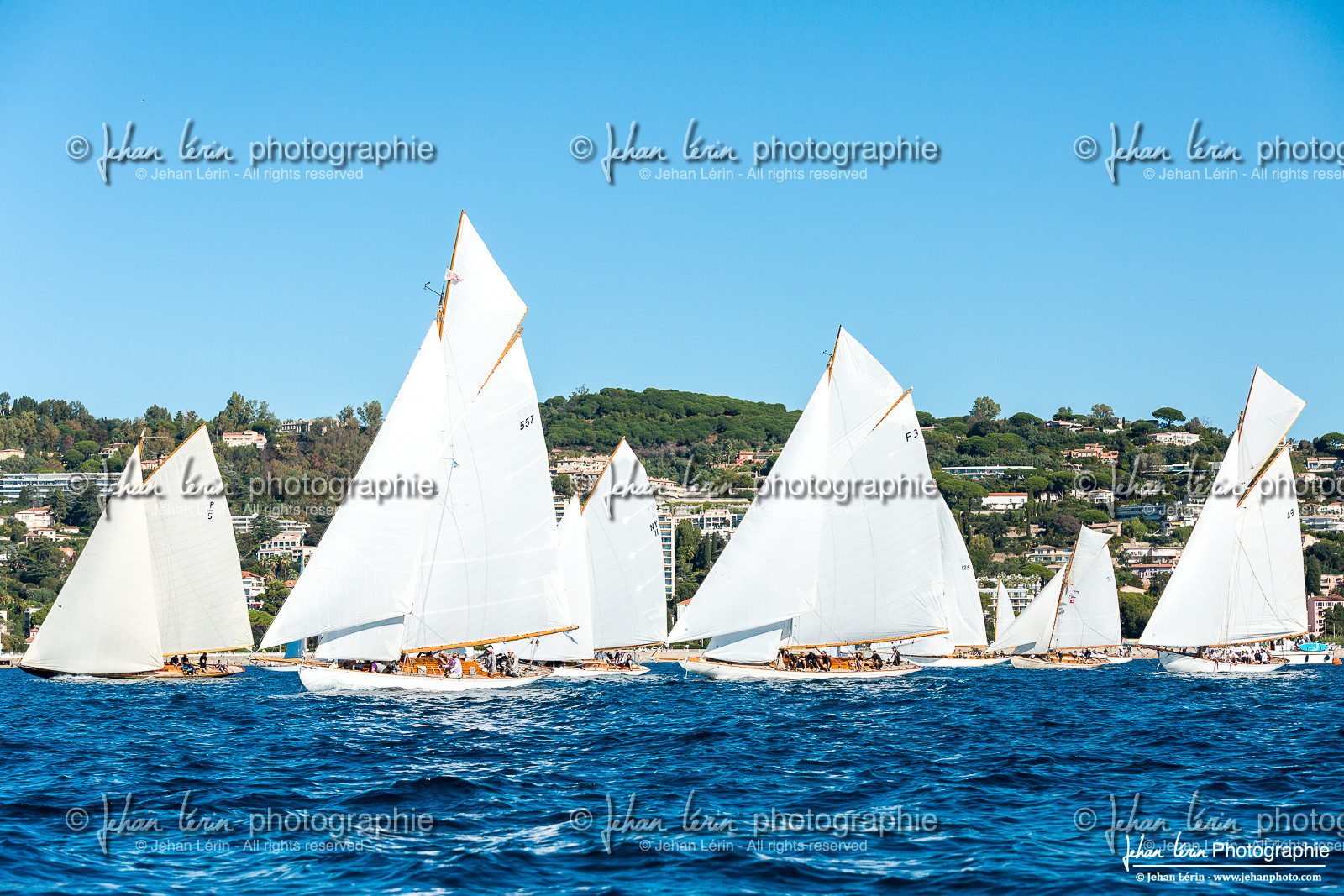 Régates Royales 2024