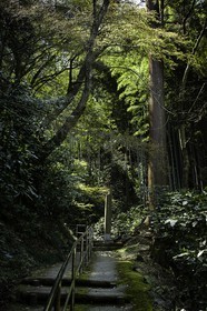 senyuji_temple-58_shikoku_japon_01-04_2014-3565.jpg