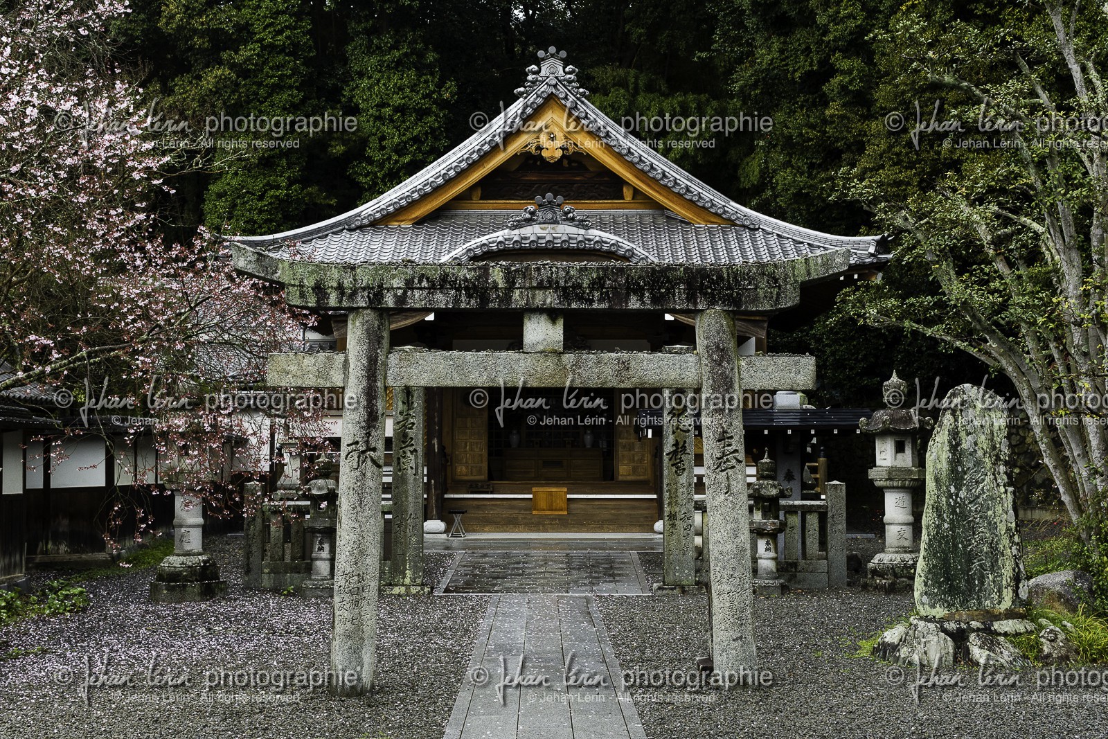 hantaji_temple-50_shikoku_japon_30-03_2014-3456.jpg